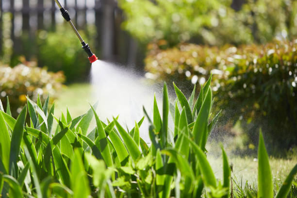 Tamper-Resistant Bait Stations for Rodents in Gladeville