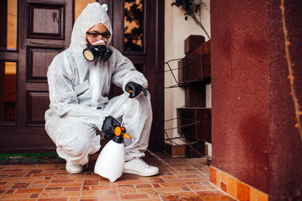 Attic and Crawl Space Rodent Treatment in Gladeville