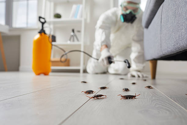 Commercial Rodent Management in Gladeville